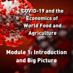 Module 1: Introduction and Big Picture