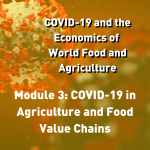 Module 3: COVID-19 in Agriculture and Food Value Chains