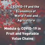 Module 4: COVID-19 in Fruit and Vegetable Value Chains