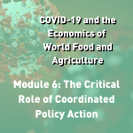 Module 6: The Critical Role of Coordinated Policy Action